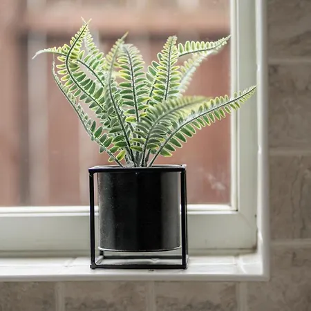 펜션 Rochester House