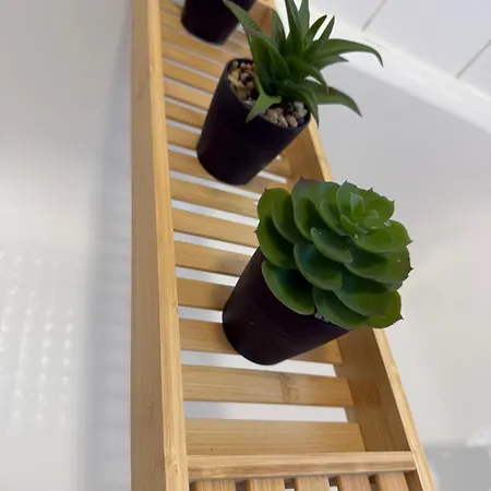 Rochester House 미들즈브러