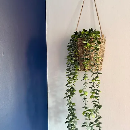 Rochester House * 미들즈브러