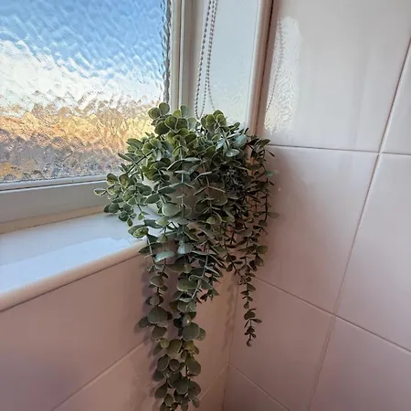 Rochester House * 미들즈브러