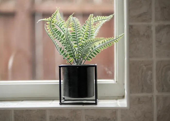 Hébergement de vacances Rochester House