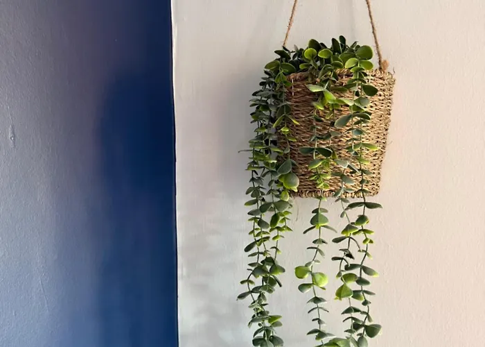 Rochester House * Middlesbrough